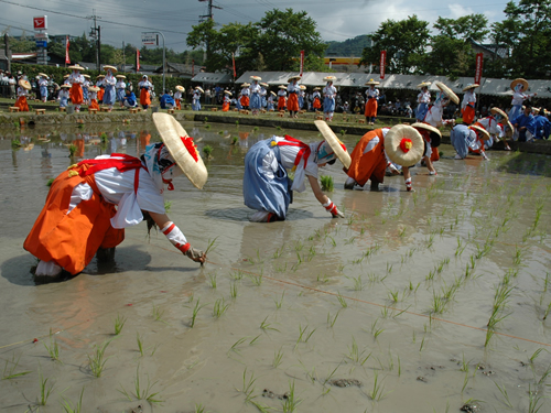 お田植祭
