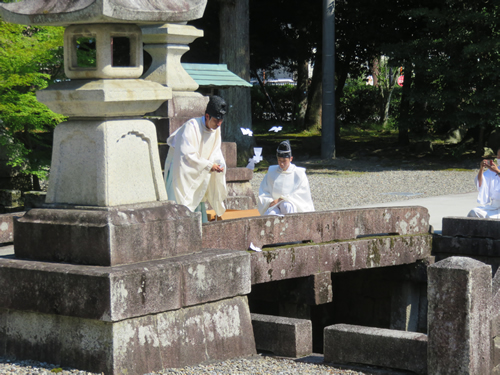 夏越の大祓[茅の輪くぐり]