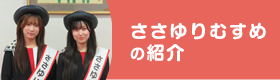 ささゆりむすめの紹介