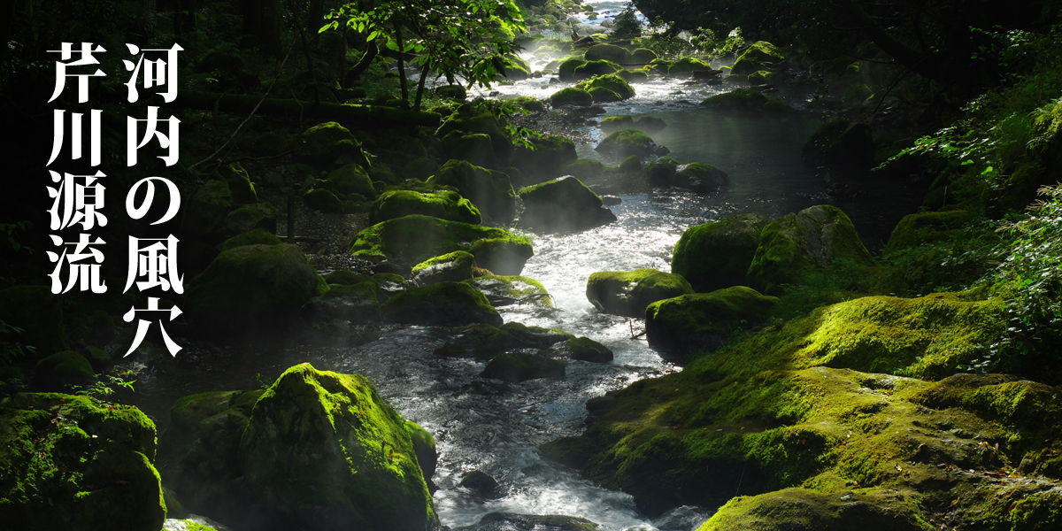 河内の風穴 芹川源流