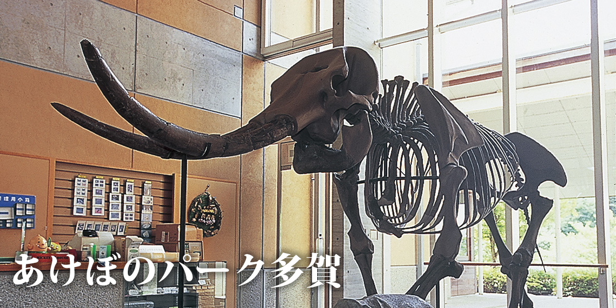 あけぼのパーク多賀