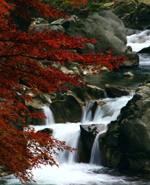 【ふるさと賞】：深まる秋（大蛇の淵）