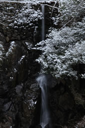 【ふるさと賞】：厳冬の流れ