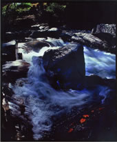 【ふるさと賞】：晩秋の清流