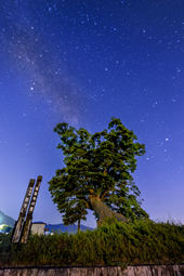 【佳作１】：星降る飯盛木