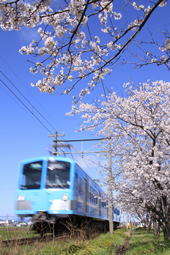 【佳作５】：春の多賀線
