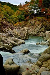 【ふるさと賞】：犬上川渓谷大蛇ヶ淵