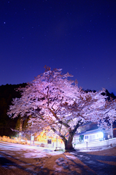 【佳作２】：時空を超えて