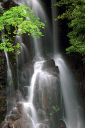 【佳作５】：涼に誘われ