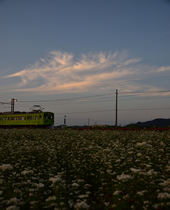 【ふるさと賞Ａ】：初秋の中にて