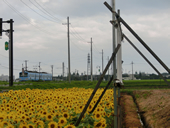 【ふるさと賞Ｃ】：小さな旅