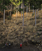 【佳作４】：異世界へ