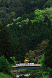 【大賞】：新緑のころ