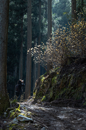 【特選２】：1シーン