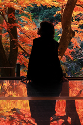 【佳作２】：床もみじ