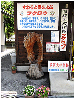 すわると福をよぶフクロウ写真