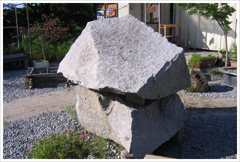 叶♡多賀門の写真