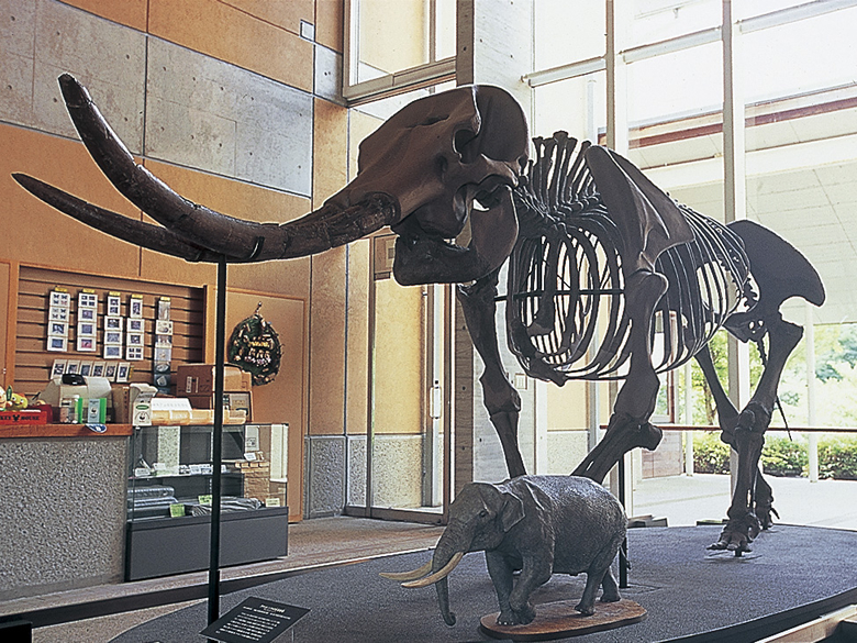 あけぼのパーク多賀